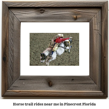 horse trail rides near me in Pinecrest, Florida